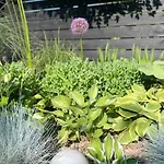 Luxuszelt Glamping Auf Dem Weberhof *