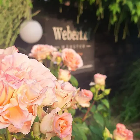 Glamping Auf Dem Weberhof ラグジュアリーテント *