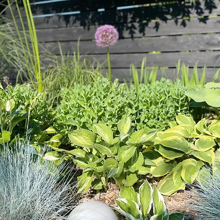 ラグジュアリーテント Glamping Auf Dem Weberhof *