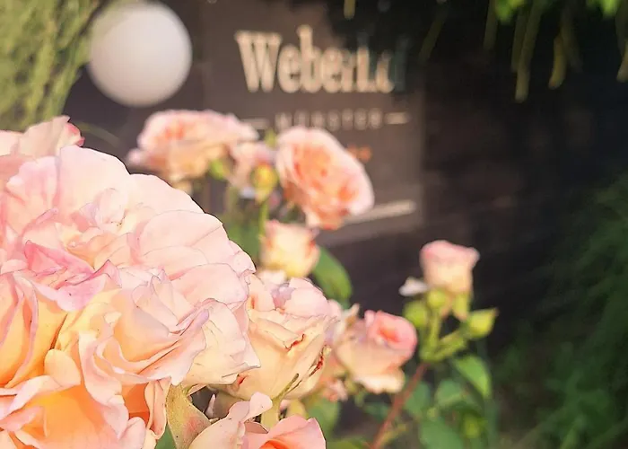 Glamping Auf Dem Weberhof Luksusowy namiot *