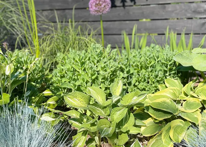 Luksusowy namiot Glamping Auf Dem Weberhof *